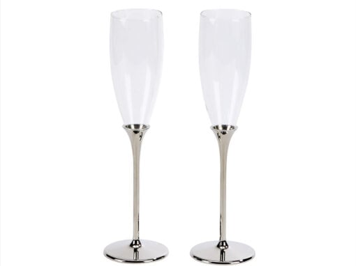 Boston Champagne Toasting Flutes Set