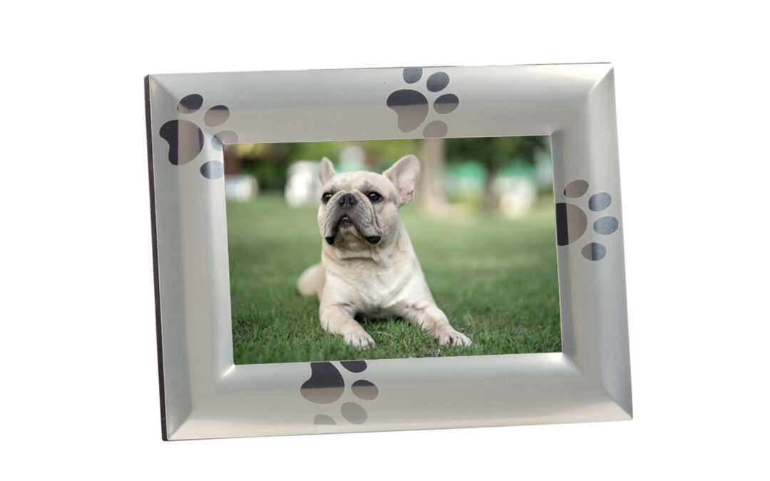 Paw Print Design Frame – 4×6